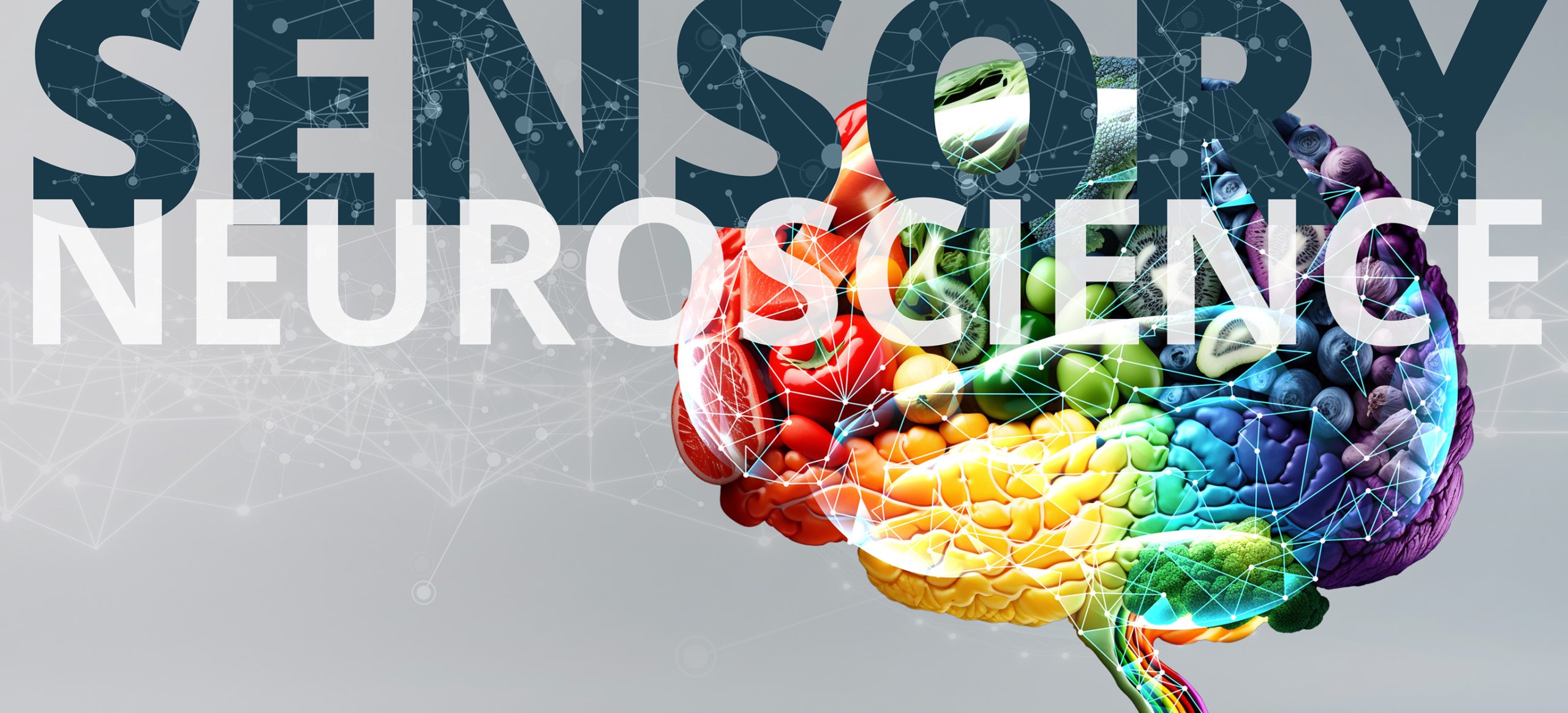 house of humans neuroscience food brain